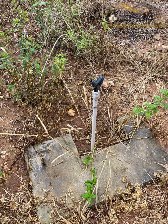 WhatsApp Image 2026-02-27 at 10.27.47.jpeg